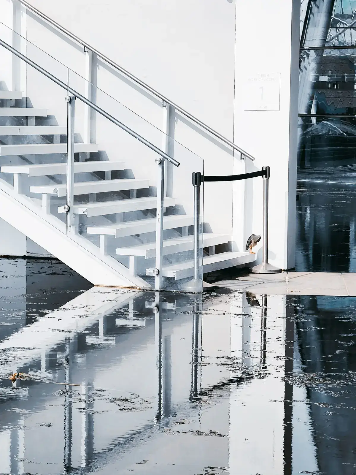 Standing water covering the floor inside a Sherman, TX home